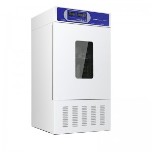 εκκολαπτήριο